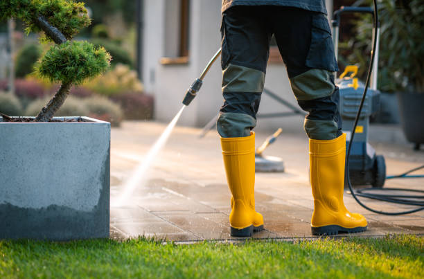 Best Pressure Washing Driveway  in Glade Spring, VA